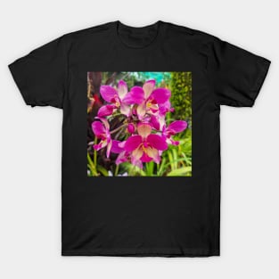 Pink Orchid (Spathoglottis x parsonsii) T-Shirt